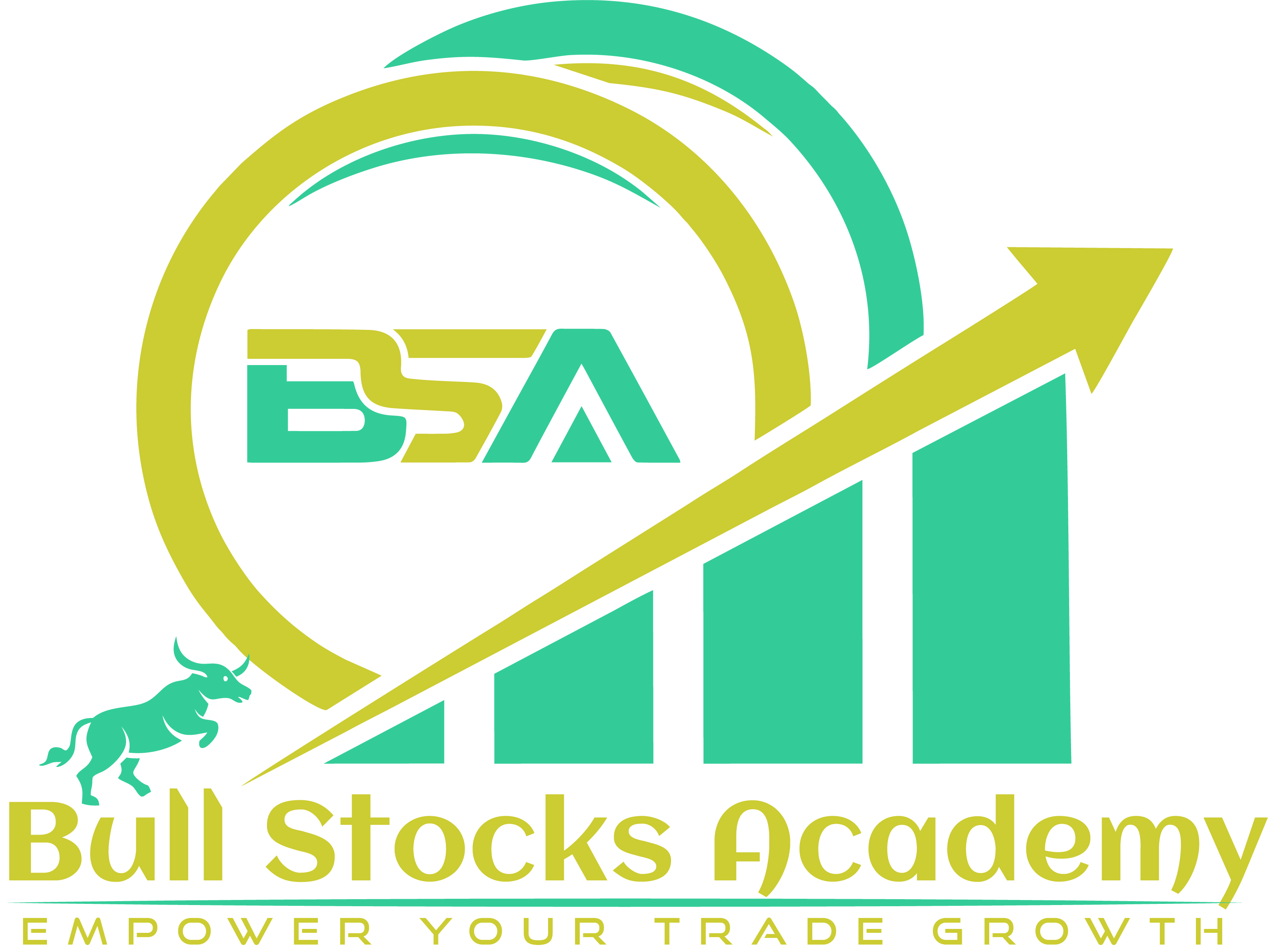 Bull Stocks Academy